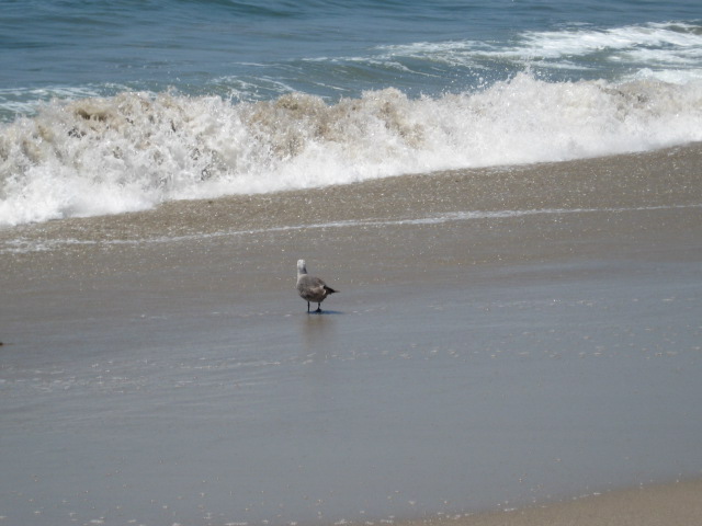 617x456 pixels (81K)